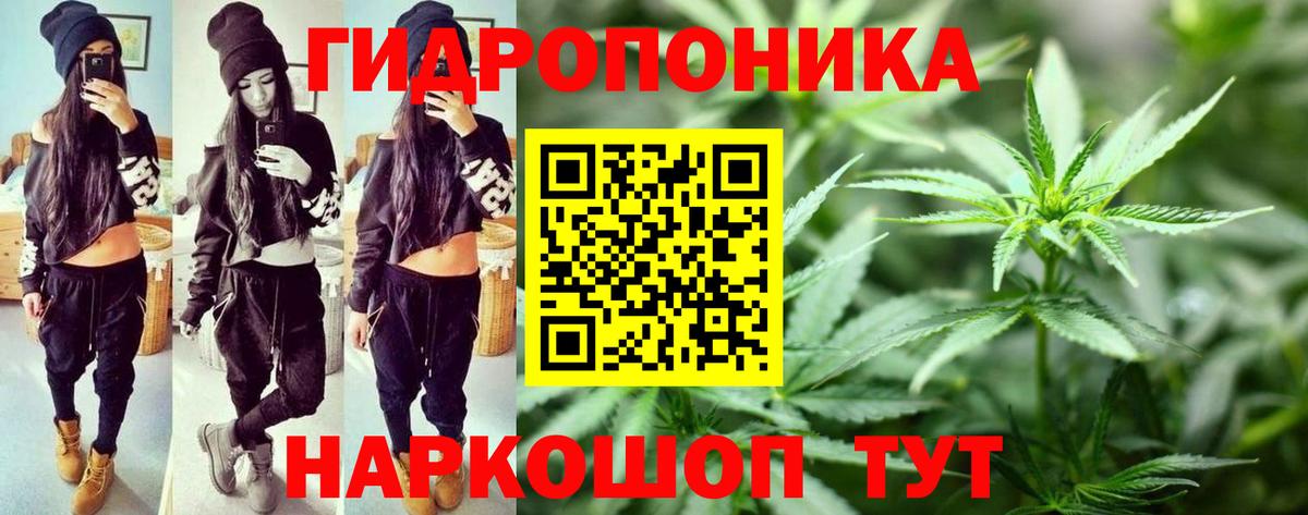 МАРИХУАНА марихуана  Вход с VPN  Шишки марихуана MAZAR  Конопля ГИДРОПОН  Клинцы  Бошки марихуана планчик 